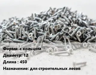 Шуруп с кольцом 12х450 для строительных лесов